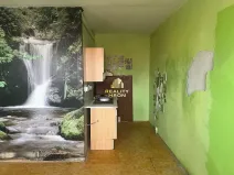 Prodej bytu 1+kk, Teplice, Seifertova, 31 m2