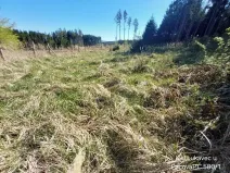 Prodej lesa, Lukavec, 3571 m2