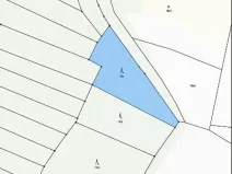 Prodej lesa, Mladoňovice, 2352 m2