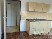 Pronájem bytu 1+kk, Mrsklesy, 21 m2