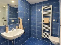 Pronájem bytu 1+kk, Brno, Rajhradská, 24 m2