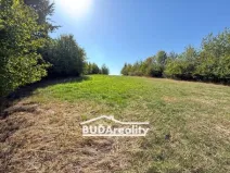 Prodej louky, Bratřejov, 3374 m2