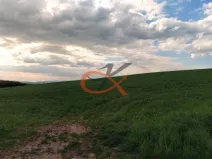Prodej pole, Lešná, 2192 m2