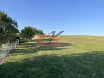 Prodej louky, Lešná, 2325 m2