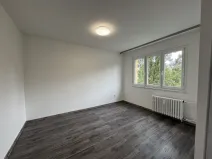 Pronájem bytu 2+1, Most, Hutnická, 55 m2