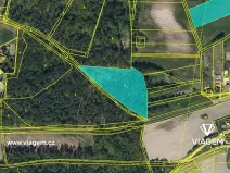 Prodej podílu lesa, Dašice, 5360 m2