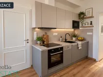 Pronájem bytu 2+kk, Plzeň, Klatovská třída, 36 m2