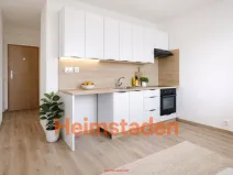Pronájem bytu 1+1, Havířov - Město, Matuškova, 35 m2