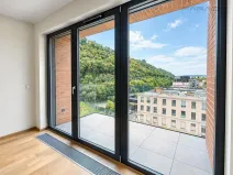 Pronájem bytu 2+kk, Praha - Karlín, Švarcova, 56 m2