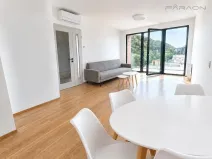 Pronájem bytu 2+kk, Praha - Karlín, Švarcova, 56 m2