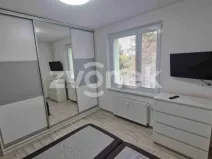 Pronájem bytu 2+1, Staré Město, Kopánky, 55 m2
