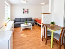 Prodej bytu 1+kk, Ostrava - Zábřeh, Čujkovova, 28 m2