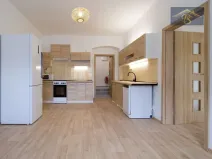 Pronájem bytu 1+1, Ústí nad Labem - Neštěmice, Železná, 57 m2