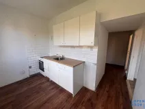 Pronájem bytu 2+1, Bílina - Teplické Předměstí, M. Švabinského, 55 m2