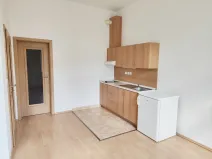 Pronájem bytu 1+kk, České Budějovice - České Budějovice 3, Riegrova, 25 m2
