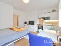 Pronájem bytu 1+kk, Brno - Královo Pole, Hostinského, 25 m2