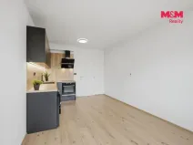 Pronájem bytu 1+kk, Nové Strašecí, Viktora Olivy, 27 m2