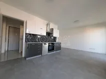 Pronájem bytu 1+kk, Plzeň - Skvrňany, Na Průhonu, 36 m2