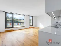Pronájem bytu 3+kk, Praha - Košíře, Starokošířská, 67 m2