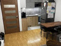 Pronájem bytu 1+kk, Olomouc, Synkova, 34 m2