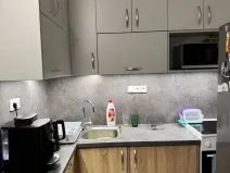 Pronájem bytu 1+kk, Olomouc, Synkova, 34 m2