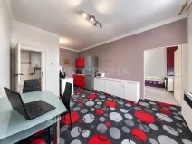 Prodej bytu 2+kk, Plzeň, Čechova, 53 m2