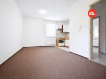 Pronájem bytu 2+kk, Ostrov, Karlovarská, 52 m2
