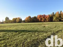 Prodej pozemku pro bydlení, Nová Role, 43224 m2