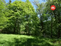 Prodej pozemku, Merklín, 3609 m2