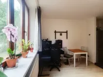 Pronájem bytu 1+kk, Brno, Gallašova, 28 m2