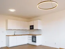 Pronájem bytu 1+kk, Silůvky, Anenská, 40 m2
