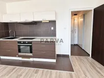 Pronájem bytu 1+kk, Plzeň - Bolevec, Krašovská, 30 m2