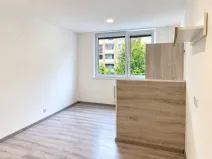 Pronájem bytu 2+1, Brno, Novoměstská, 61 m2