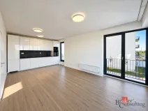 Pronájem bytu 2+kk, Plzeň - Jižní Předměstí, Železná, 57 m2