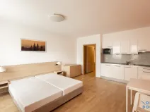 Pronájem bytu 1+kk, Praha - Žižkov, Kališnická, 32 m2