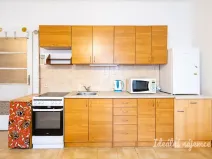 Pronájem bytu 1+kk, Praha - Žižkov, Jana Želivského, 30 m2