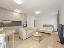 Pronájem bytu 1+kk, Brno, Auerswaldova, 38 m2