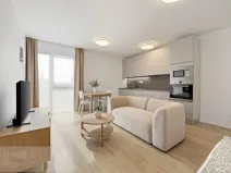 Pronájem bytu 1+kk, Brno, Auerswaldova, 38 m2