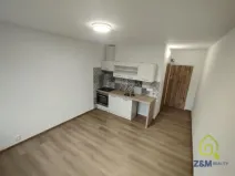 Pronájem bytu 1+kk, Chodov, Čapkova, 20 m2