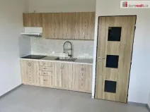 Pronájem bytu 1+1, Ústí nad Labem, Višňová, 38 m2