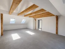 Prodej činžovního domu, Město Touškov, Mlýnská, 400 m2