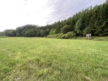 Prodej pole, Vranová Lhota, 2289 m2