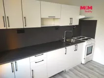 Pronájem bytu 1+1, Ostrava - Výškovice, 39 m2