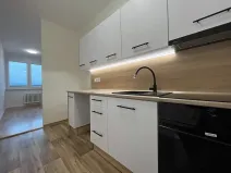 Pronájem bytu 1+kk, Třinec, Lidická, 44 m2