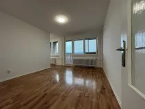 Pronájem bytu 1+kk, Třinec, Lidická, 44 m2