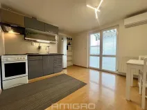Pronájem bytu 3+kk, Brno, Merhautova, 65 m2