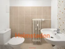 Pronájem bytu 1+kk, Havířov - Město, Československé armády, 20 m2