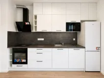 Pronájem bytu 1+kk, Plzeň - Jižní Předměstí, Železná, 28 m2