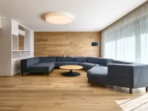 Pronájem rodinného domu, Praha - Troja, Pod Salabkou, 433 m2