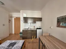 Pronájem bytu 1+kk, Olomouc, Sokolská, 20 m2